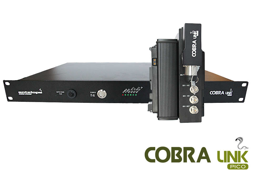 cobra